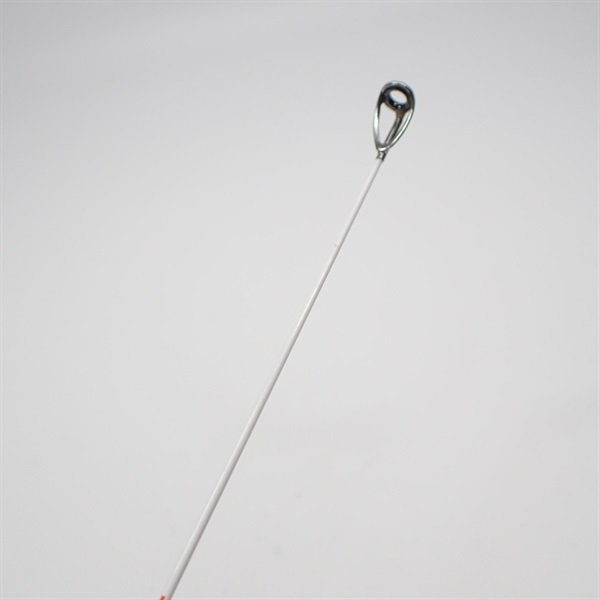 １０アオリスタイソ５００